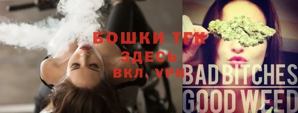 хмурый Балабаново