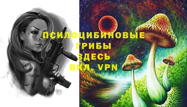 мдпв Армянск
