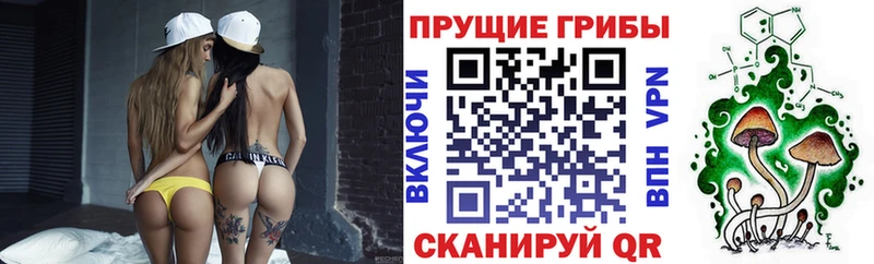 Псилоцибиновые грибы ЛСД  продажа наркотиков  Балей 